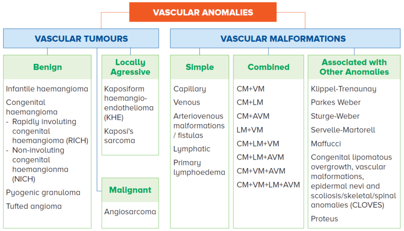 Vascular anomalies classification - SingHealth Duke-NUS Vascular Centre
