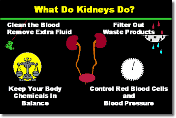 kidney failure conditions & treatments